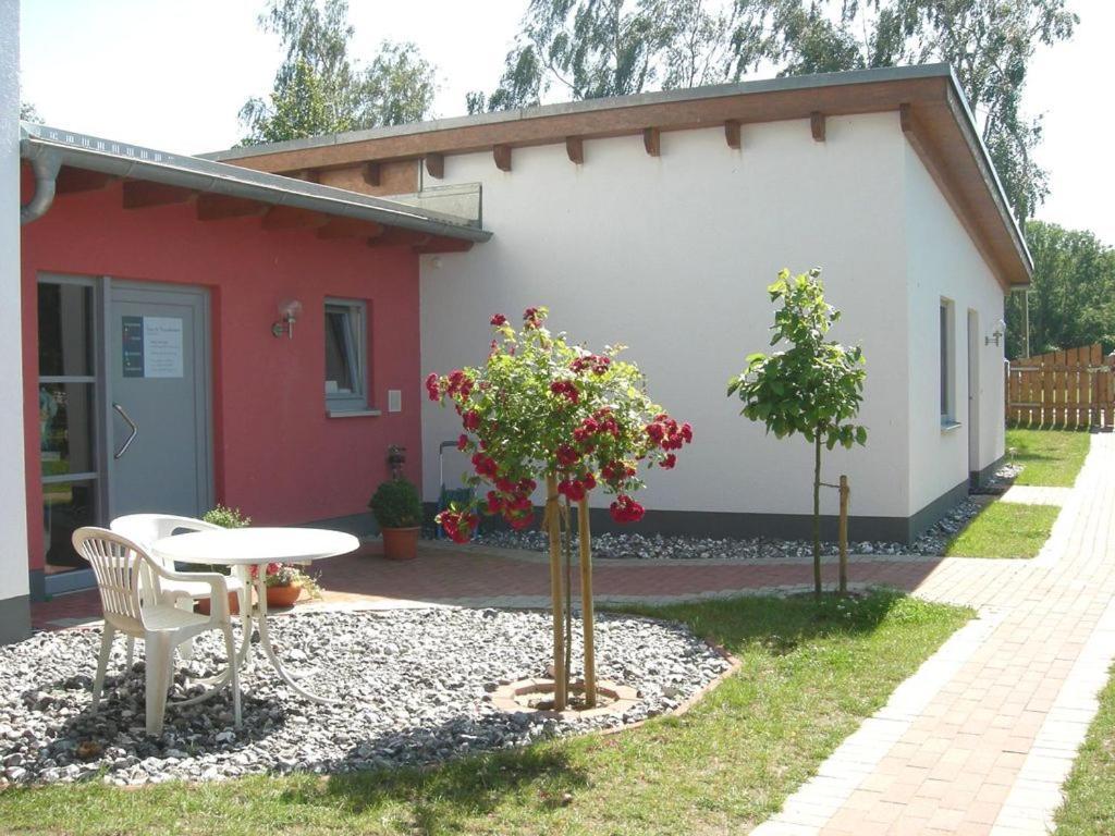 Barrierefreie Ferienwohnung Sonne Auf Ruegen بريجا المظهر الخارجي الصورة
